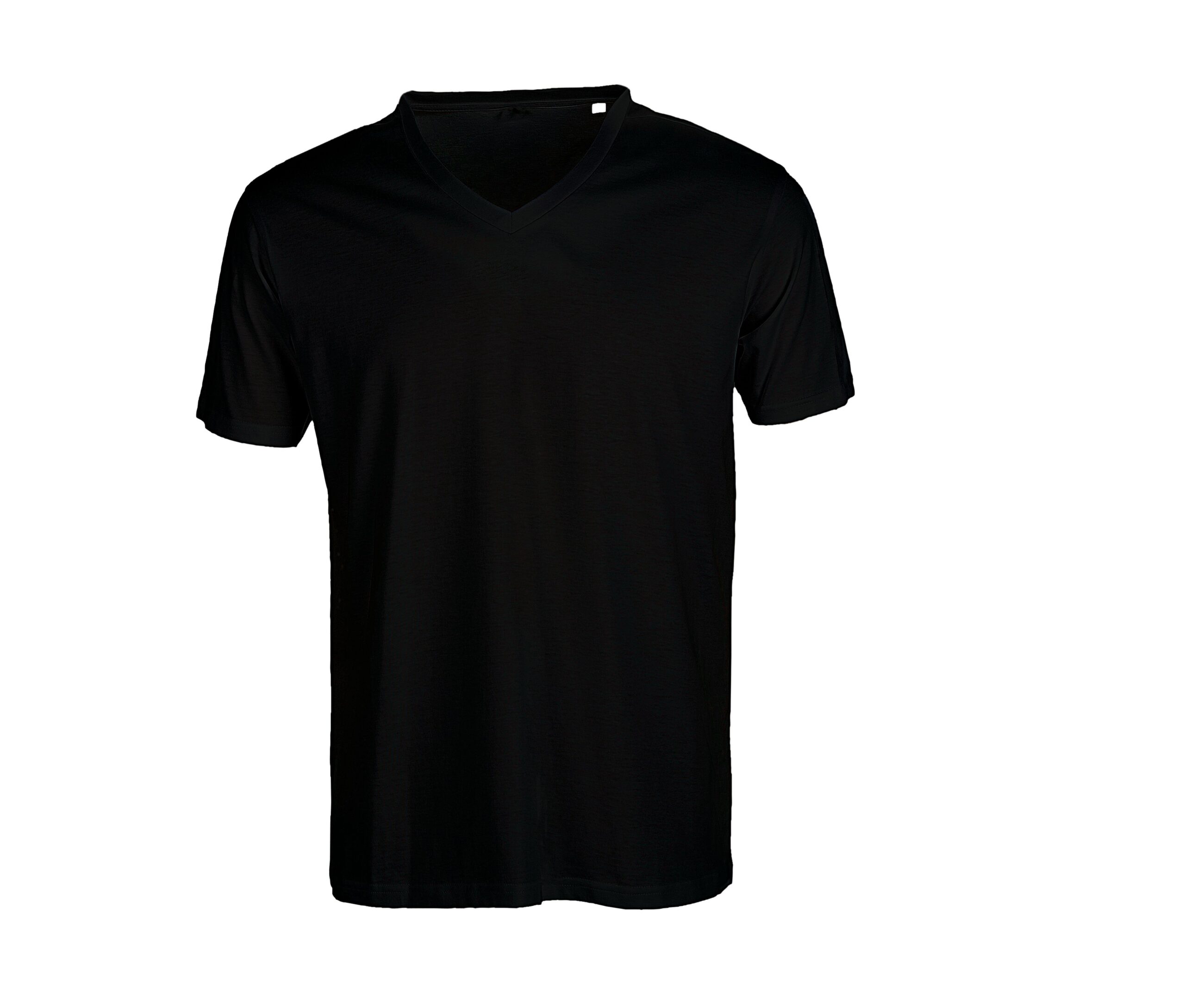 T-shirt noir à col en V pour homme, manches courtes et coupe classique sur fond blanc.